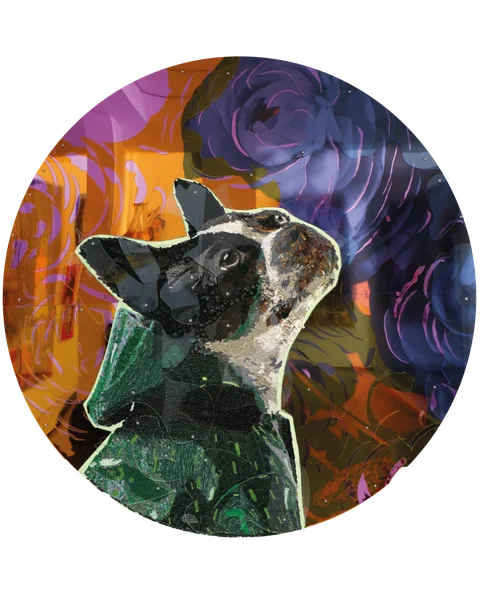 COCO / Serie: Dog Lovers