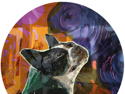 COCO / Serie: Dog Lovers